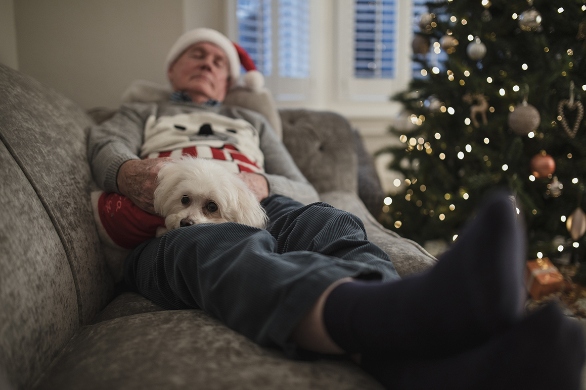 Christmas Nap With The Dog