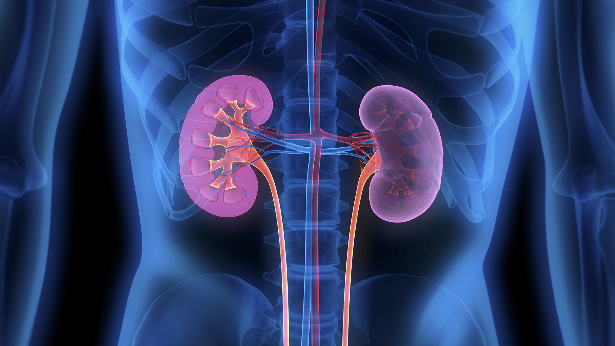 Preventing kidney disease